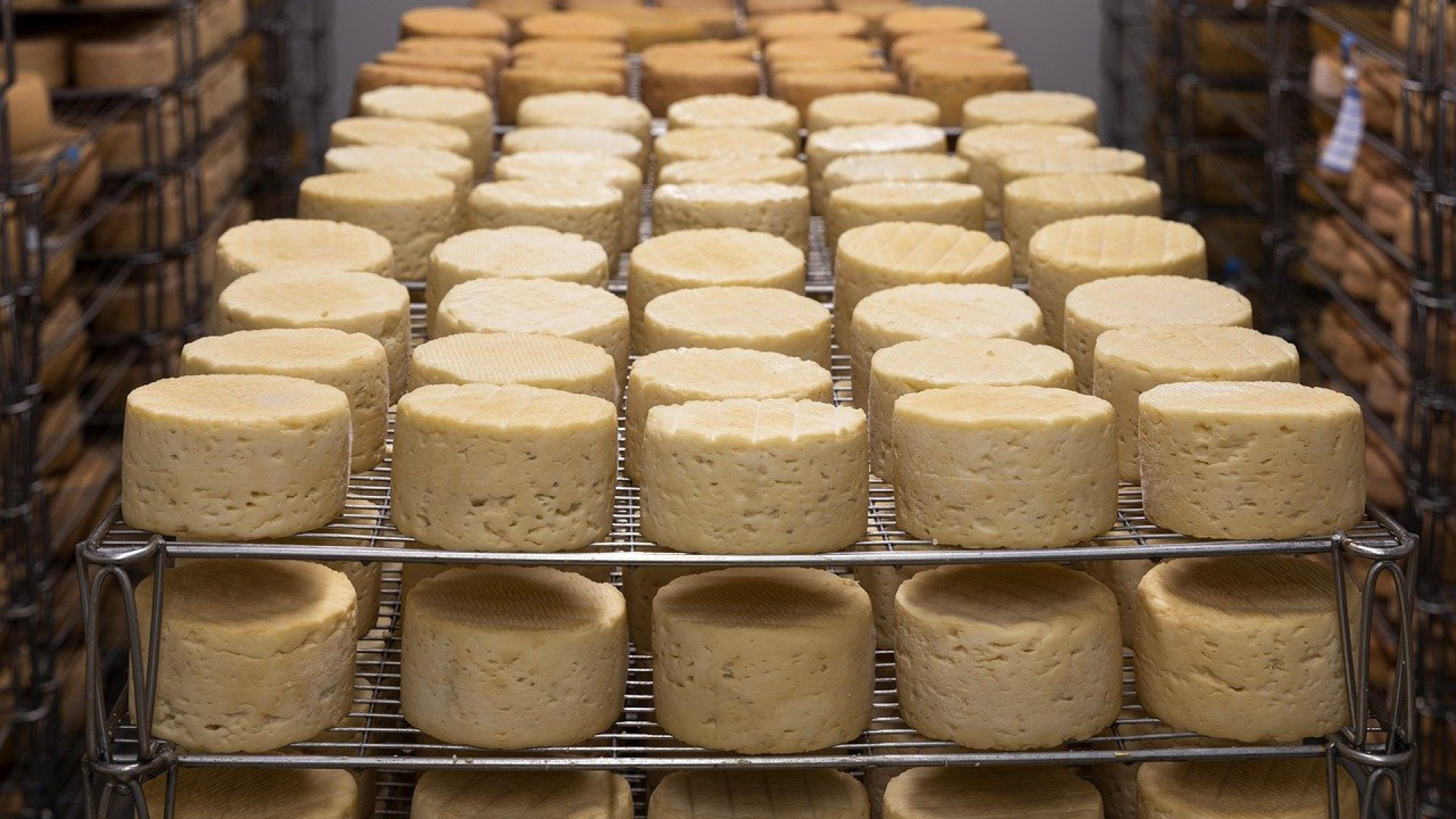 Quels sont les rôles des meilleurs ustensiles de fromagerie ?