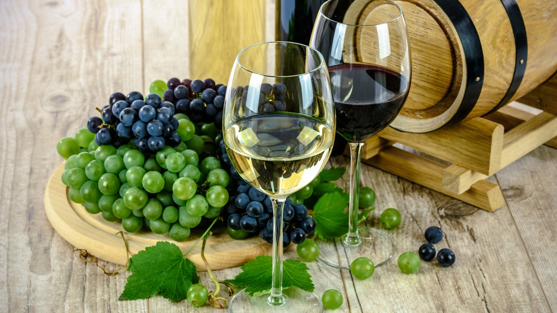 Quelles formations choisir pour travailler dans les métiers du vin ?